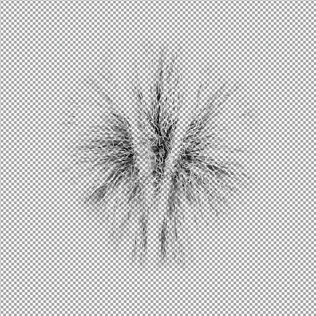 Bella pianta nel rendering 3d isolato