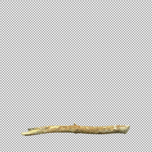 Bella pianta nel rendering 3d isolato