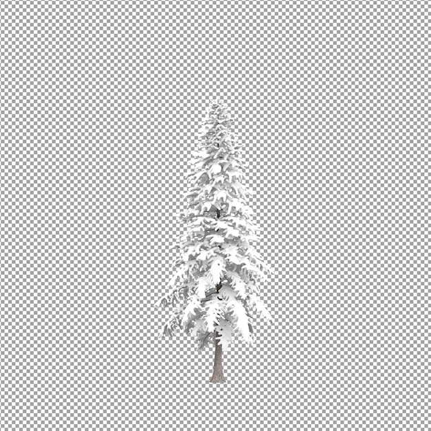 Bella pianta nel rendering 3d isolato