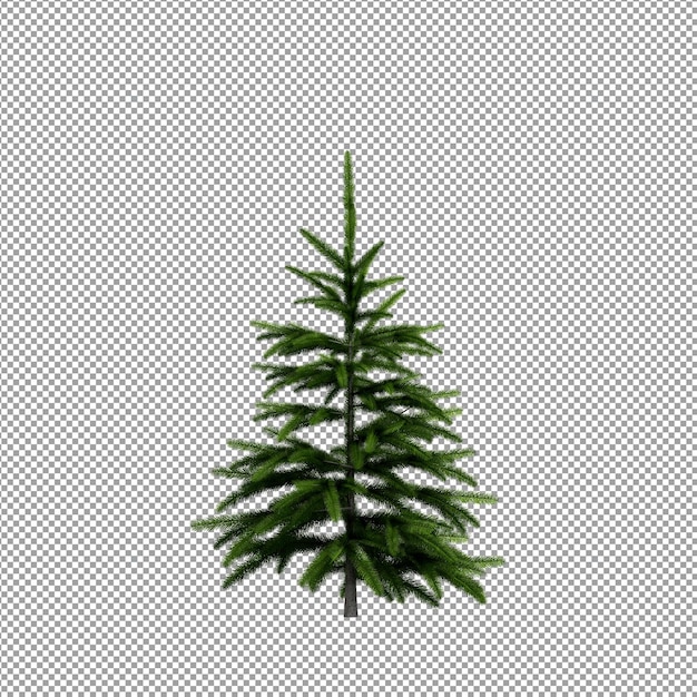 Bella pianta nel rendering 3d isolato