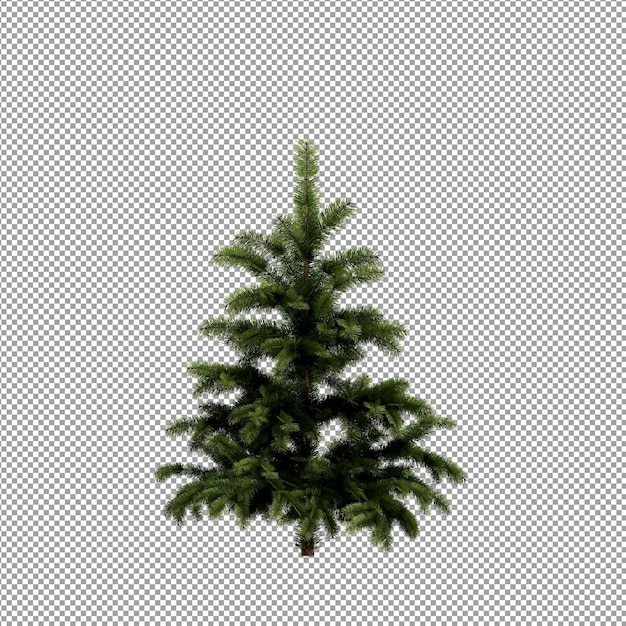 Bella pianta nel rendering 3d isolato