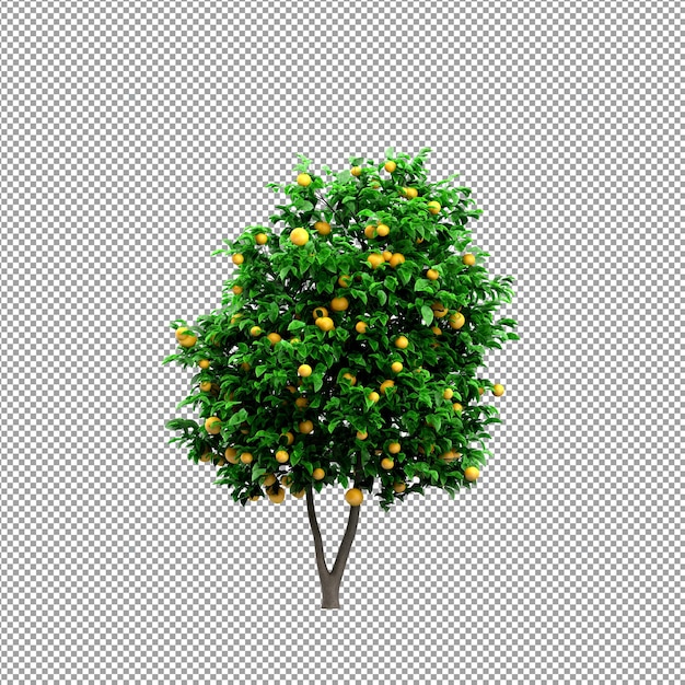 Bella pianta nel rendering 3d isolato