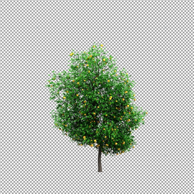 Bella pianta nel rendering 3d isolato