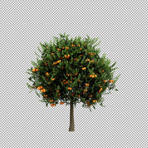 Bella pianta nel rendering 3d isolato