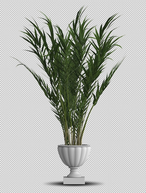 Bella pianta realistica 3d in vaso isolato