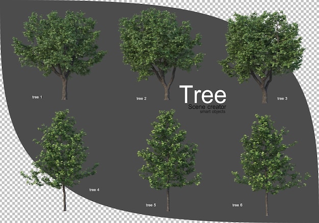 Bella varietà di rendering di alberi