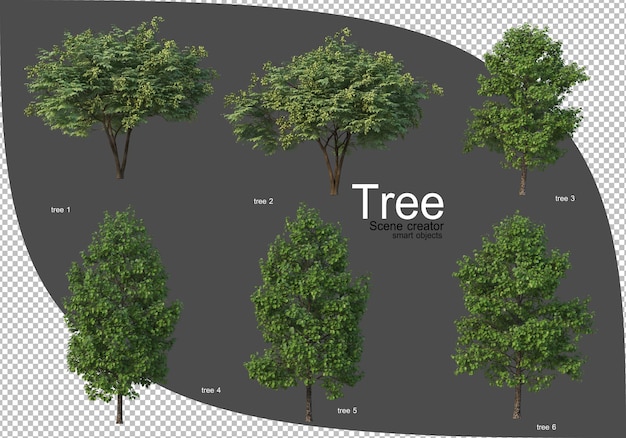 Bella varietà di rendering di alberi