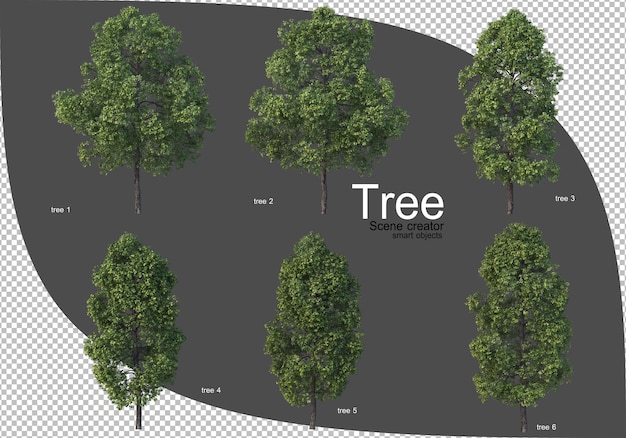 Bella varietà di rendering di alberi