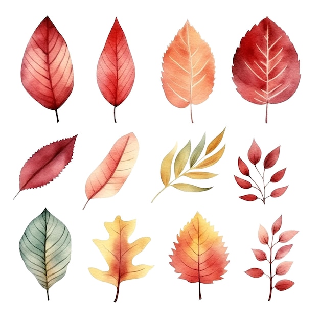 PSD une belle et colorée collection de feuilles d'automne à l'aquarelle
