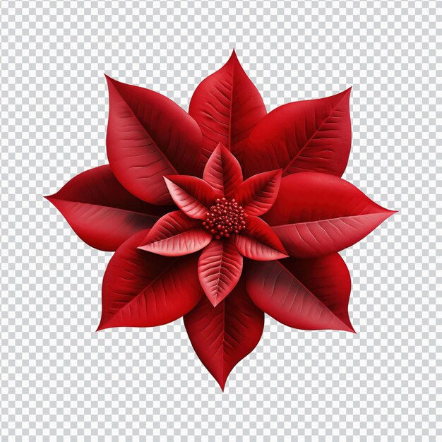 PSD une belle fleur rouge artistique