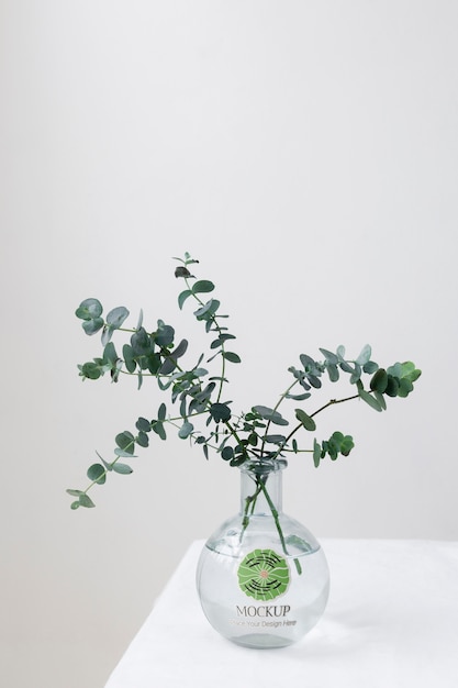 Belle plante dans une maquette de vase