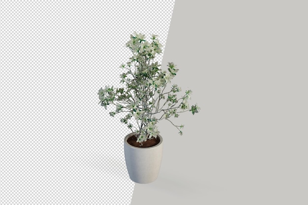 Belle Plante Dans Un Vase Rendu 3d