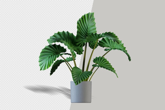 Belle Plante Dans Un Vase Rendu 3d