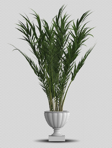 Belle plante réaliste 3d en pot isolé