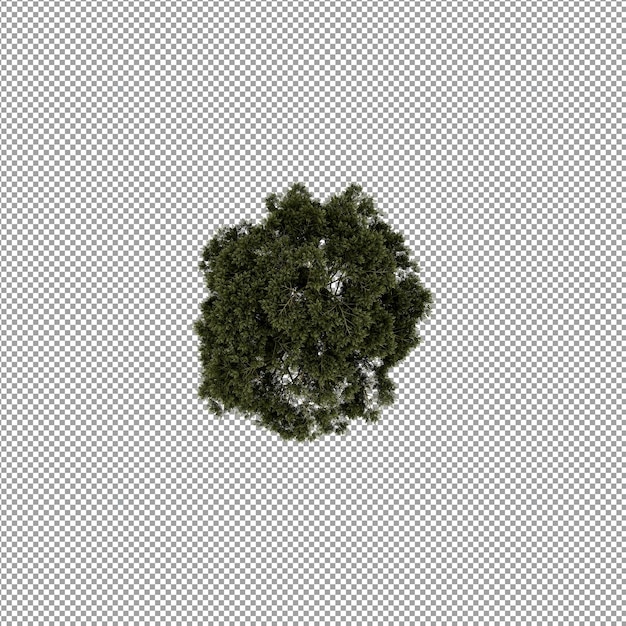 PSD belle plante en rendu 3d isolé