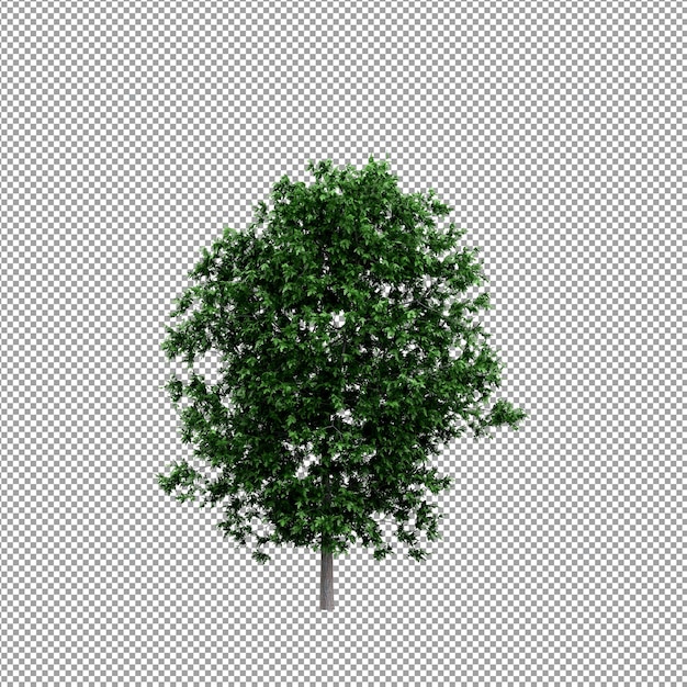 Belle plante en rendu 3d isolé