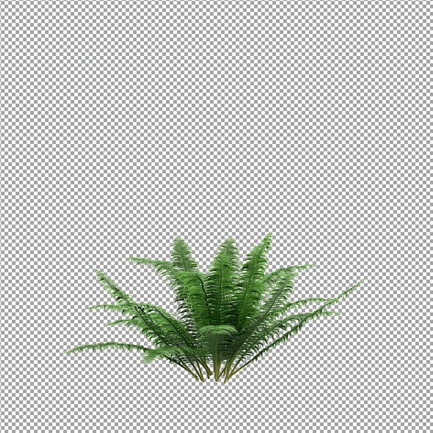 Belle Plante En Rendu 3d Isolé