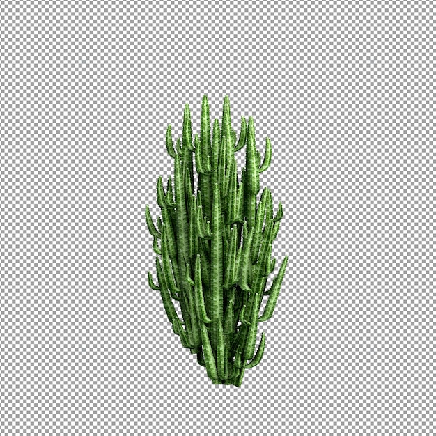 Belle plante en rendu 3d isolé