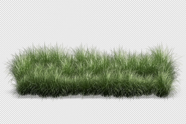 Belles différentes sortes de fleurs en rendu 3d isolé