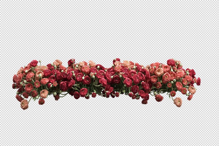 Belles différentes sortes de fleurs en rendu 3d isolé