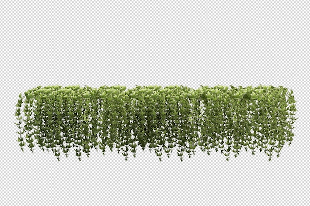 Belles différentes sortes de fleurs en rendu 3d isolé