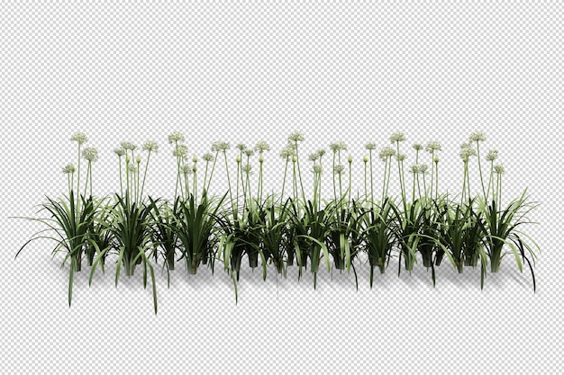 Belles différentes sortes de fleurs en rendu 3d isolé