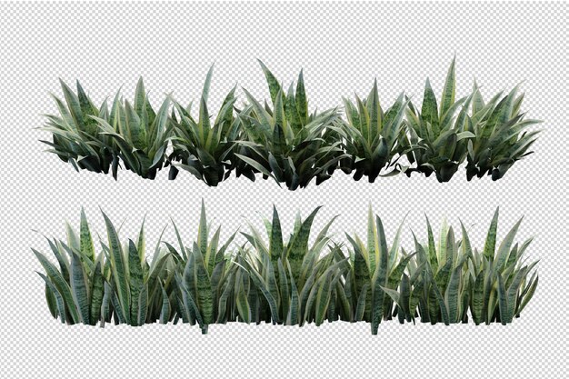 Belles différentes sortes de fleurs en rendu 3d isolé