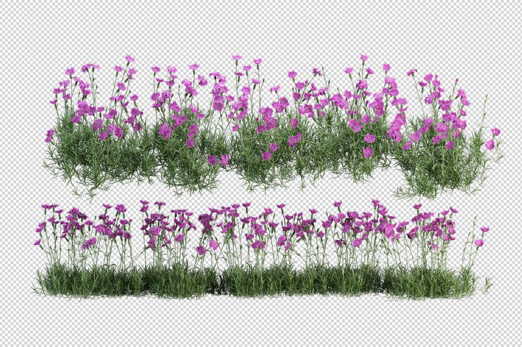 Belles différentes sortes de fleurs en rendu 3d isolé