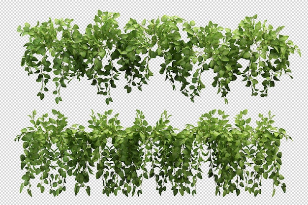 Belles différentes sortes de fleurs en rendu 3d isolé