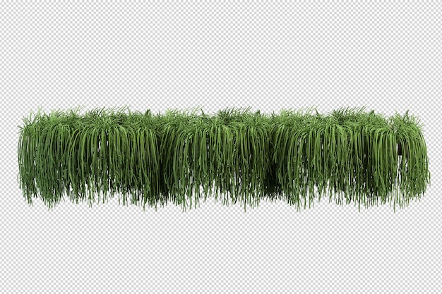 Belles différentes sortes de fleurs en rendu 3d isolé