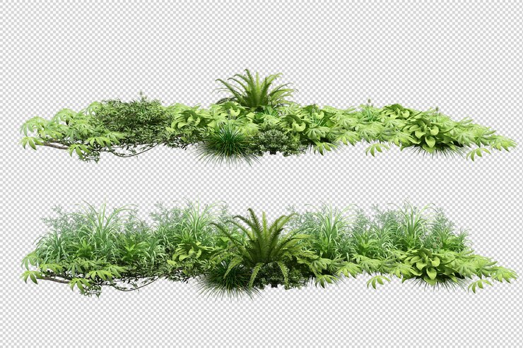 Belles différentes sortes de fleurs en rendu 3d isolé