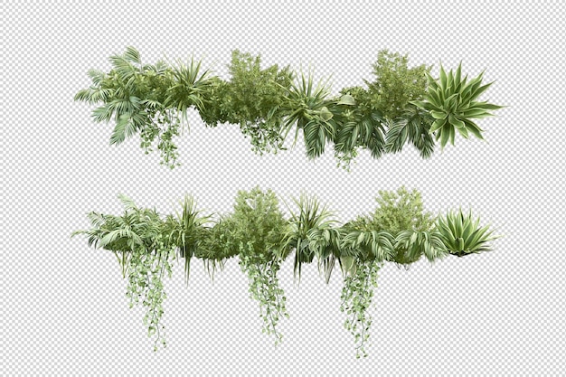Belles différentes sortes de fleurs en rendu 3d isolé