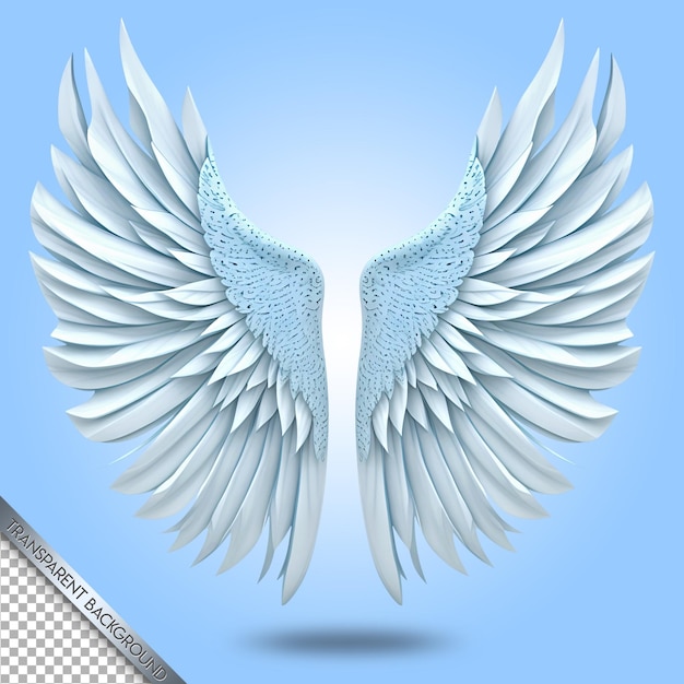PSD belles et élégantes ailes fond transparent