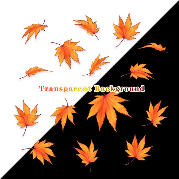 PSD de belles feuilles d'automne avec de multiples angles