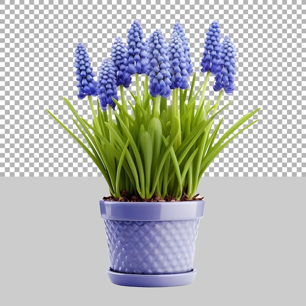 PSD de belles fleurs vertes dans un pot doré en métal sur un fond transparent