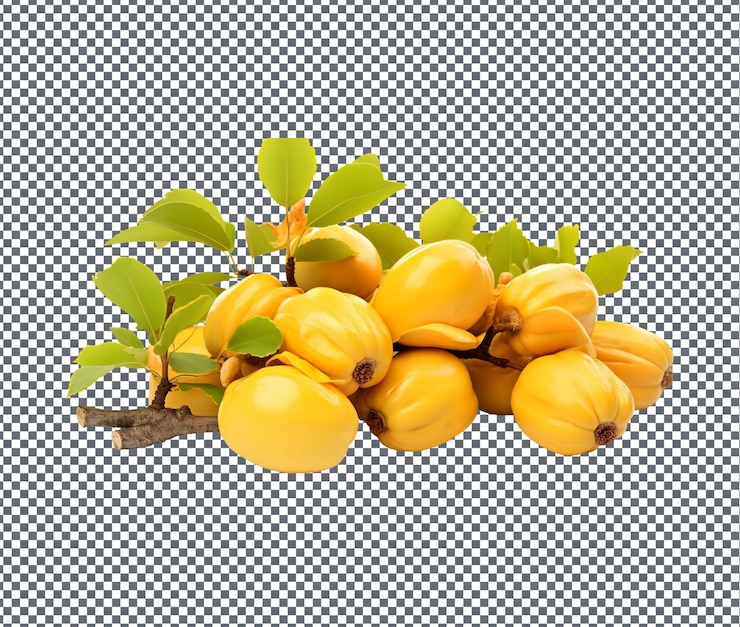 PSD bellissime gelatine jackfruit isolate su uno sfondo trasparente