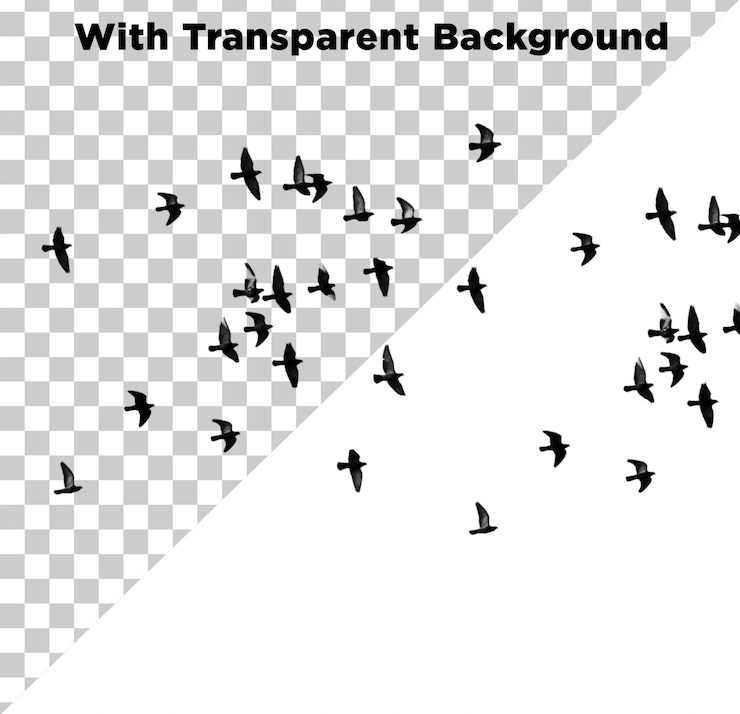 PSD bellissimi uccelli volanti png psd sfondo trasparente