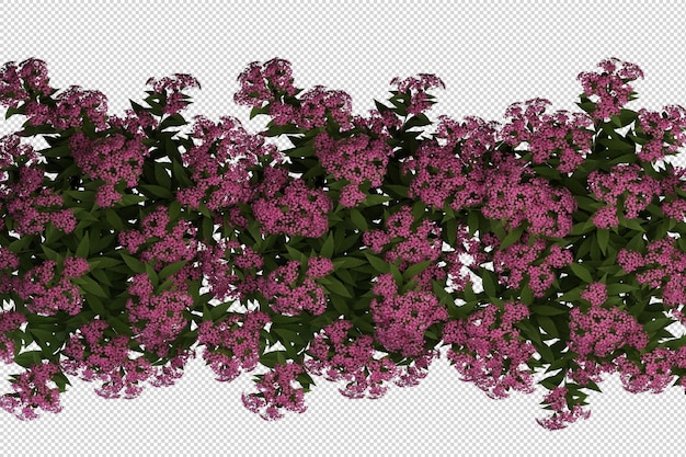 Bellissimi vari tipi di fiori in rendering 3d isolati