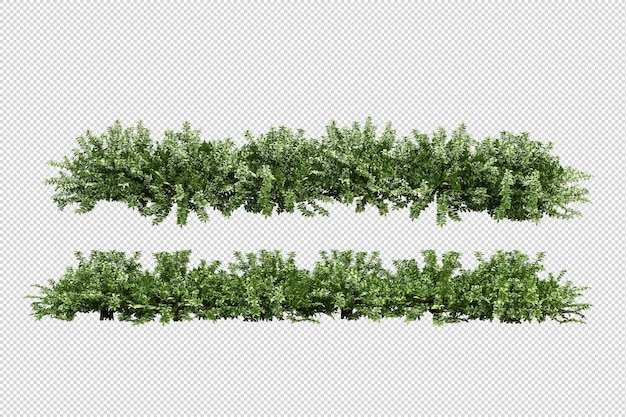 Bellissimi vari tipi di fiori in rendering 3d isolati
