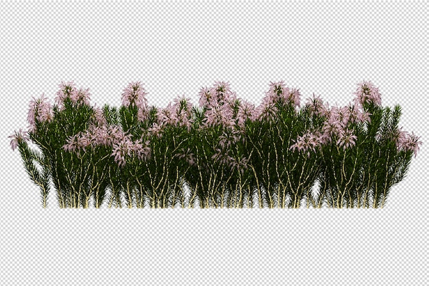 Bellissimi vari tipi di fiori in rendering 3d isolati