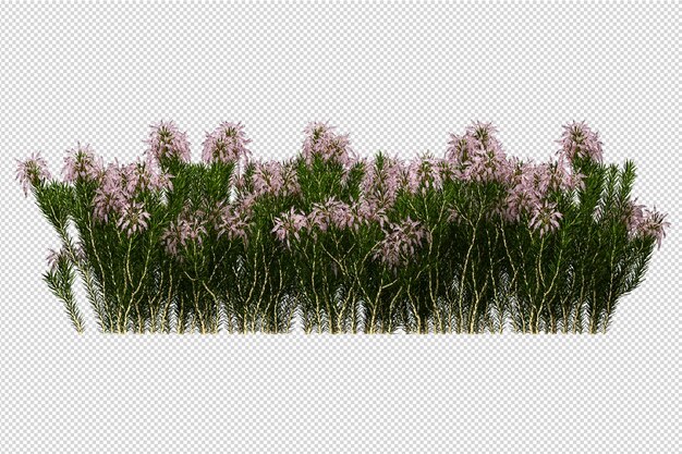 Bellissimi vari tipi di fiori in rendering 3d isolati