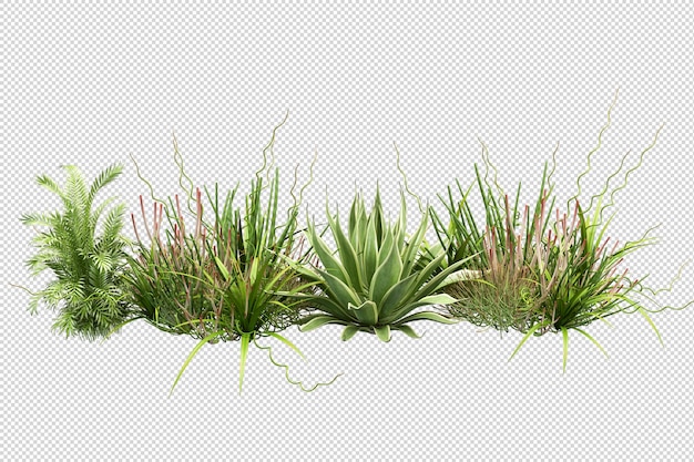 Bellissimi vari tipi di fiori in rendering 3d isolati