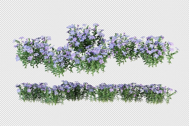 Bellissimi vari tipi di fiori in rendering 3d isolati