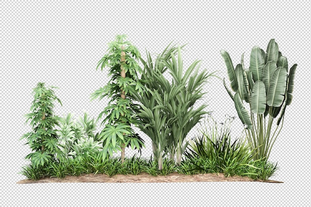 Bellissimi vari tipi di fiori in rendering 3d isolati