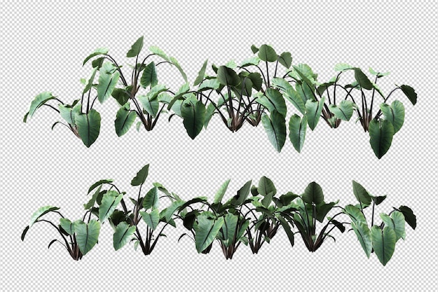 Bellissimi vari tipi di fiori in rendering 3d isolati