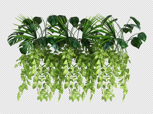 Bellissimi vari tipi di fiori in rendering 3d isolati