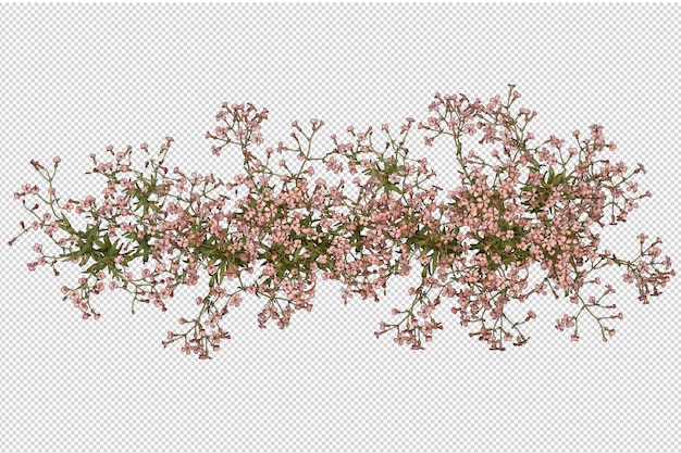 Bellissimi vari tipi di fiori in rendering 3d isolati