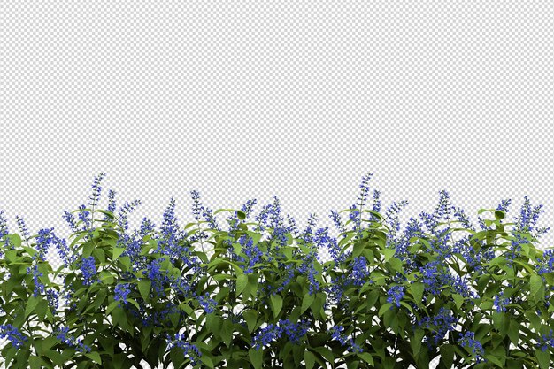 Bellissimi vari tipi di fiori nel rendering 3d isolati