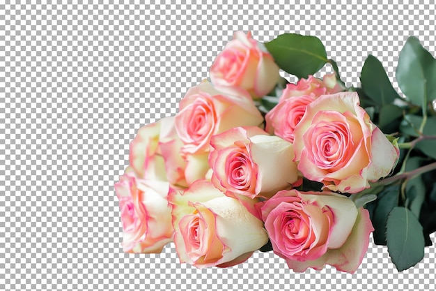 Bellissimo bouquet di rose rosa con petali morbidi e delicati su sfondo isolato su sfondo trasparente