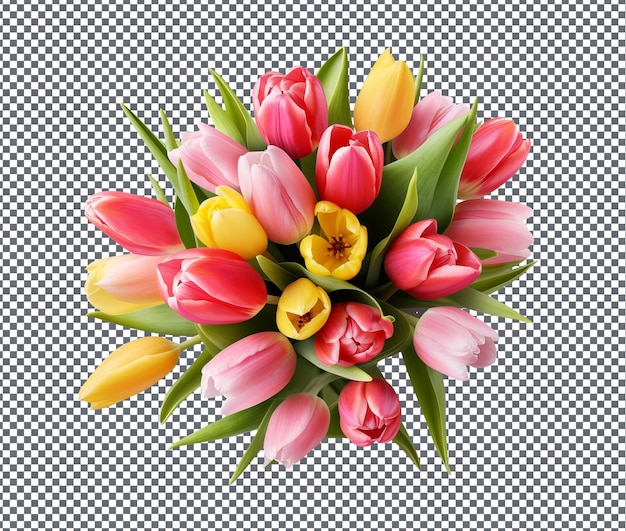 Bellissimo bouquet di tulipani freschi isolati su uno sfondo trasparente